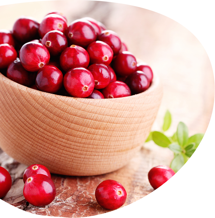 Cranberry